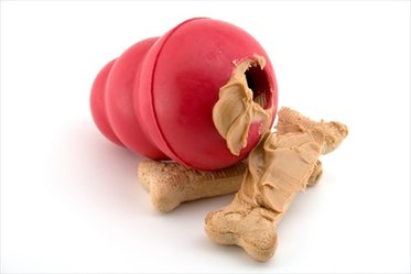 dog toy filled with peanut butter